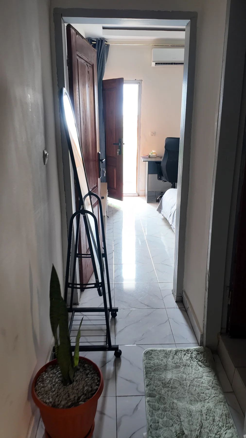 Une plante verte accueille les visiteurs dans le passage vers le studio